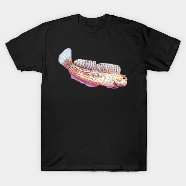 Cozy Blenny T-Shirt by Phoenix Baldwin